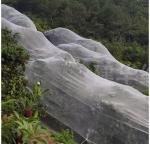 Plastic bird-proof net PE enlarged thickened greenhouse agricultural breeding