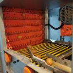 Professional Chicken Farming Equipment Layer Battery Cages