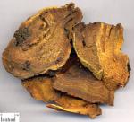 Rhubarb Root P.E. RHB-Anthraquinones 50% UV；10：1, Chinese Manufacturer , top