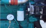 50 Hz Natural Gas Powered Generator , 200 Kw Gas Electric Generator Ac Three