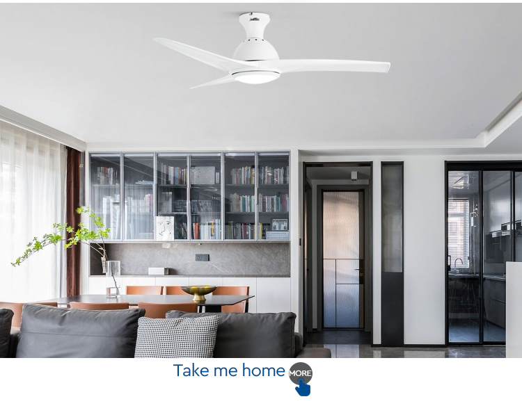 ceiling fan