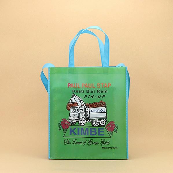 Eco-friendly 80GSM non-woven value priced shopping bag, reusable fold able green