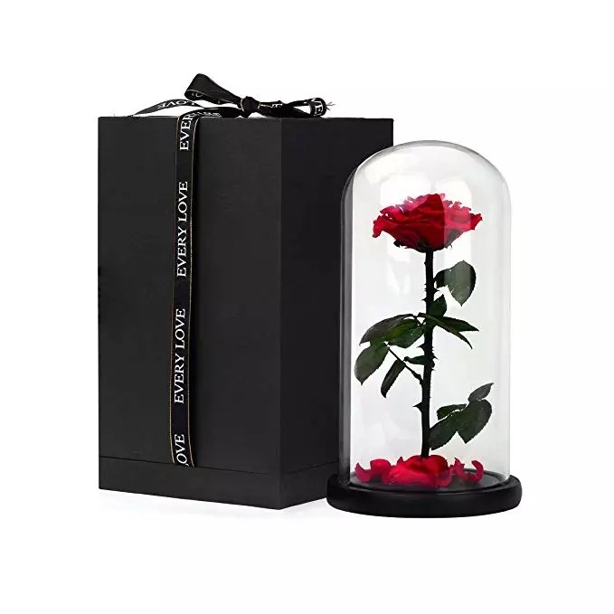 Promotion Price Preserved Roses in Glass Dome That Last A Year