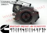 3080571 Cummins KTA19-C600 Diesel Engine Fuel Pump 3655884 4913582 3076130