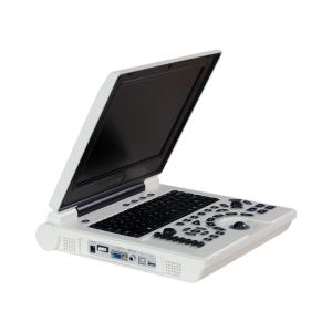 Wholesale B/W Portable Laptop Ultrasound Machine Veterinary Li Battery ISO from china suppliers