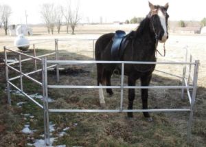 Wholesale Extremely Long Lasting Horse Corral Panels Heavy Gauge Carbon Steel Material from china suppliers