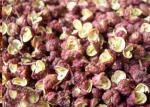Dark Red Natural Seasoning For Food Chinese Numb Spices Dried Sichuan Pepper