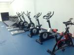commercial upright bike