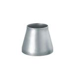 Alloy B-2 / UNS N10665 Pipe Fittings DN20-1500 SCH5S-XXS Butt Welding Reducer