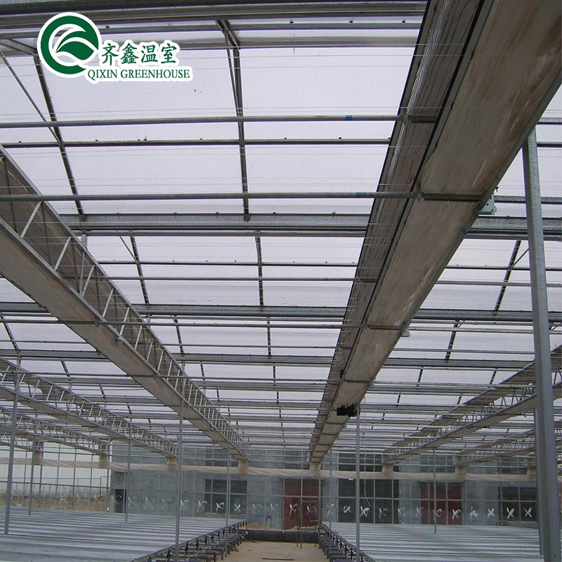 Boost Potato Harvest Large Plastic Pipes Multi-Span Agricultural Greenhouses