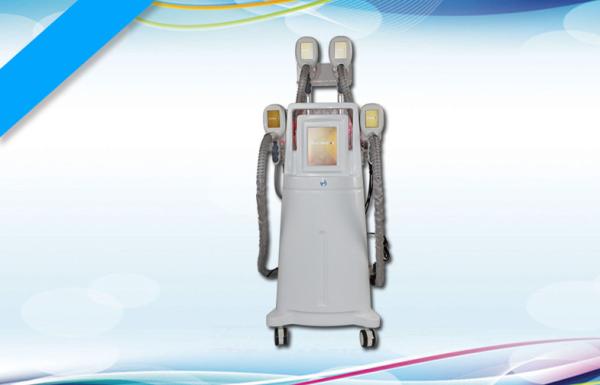Vacuum Cryolipolysis Slimming Machine / Four Handles Coolsculpting Equipment
