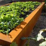 Corten Steel Rust Metal Garden Edging Decorative