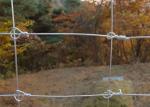 2.0mm Dia Galvanized Fixed Knot Wire Farm Fencing