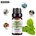 Patchouli 100% Pure Essential Oil OEM Organic Essential Oil Bulk 5ml