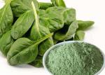 Manufacturer Pure Spinach Powder Natural Dehydrated Spinach Powder