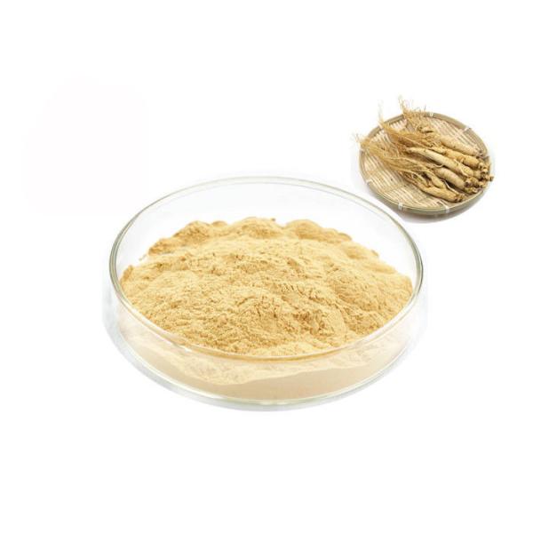 Organic Siberian Root 30% 80% Ginsenosides Pure Ginseng Extract