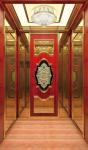 Luxury Machine Room Less Elevator Fuji VVVF Control Passenger Lifts