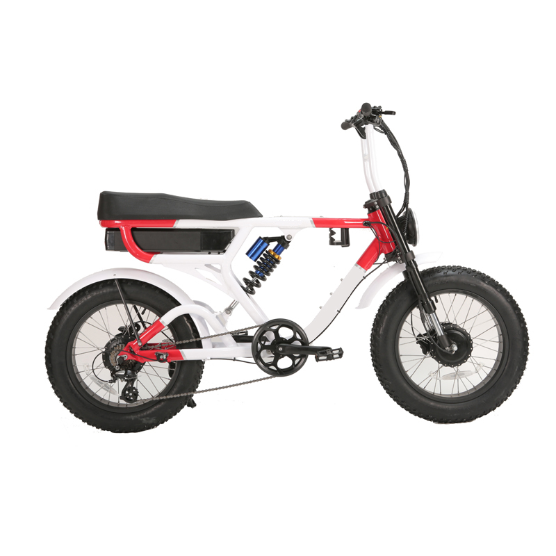 LCD Display Electric Retro Motorcycle with 750W Dual Motors and Long Range Capability