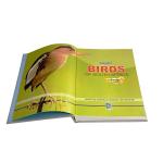 Education Hardcover Book Printing customized gold hot foil stamping logo