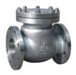 Quiet Standard WOG Flanged Check Valve SS Swing Type ANSI 150LB