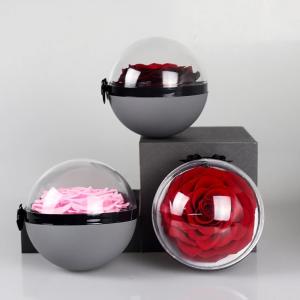 Wholesale New arrival immortal rose big preserved rose in poke ball rose gift from china suppliers