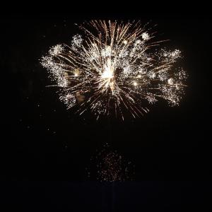Wholesale Liuyang 104 Shots Consumer Outdoor Howling Wolf Fireworks Cake from china suppliers