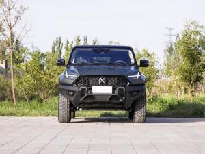 Wholesale Chinese Suv Dongfeng Brave Warrior 917 Large Space Pure Electric Car from china suppliers
