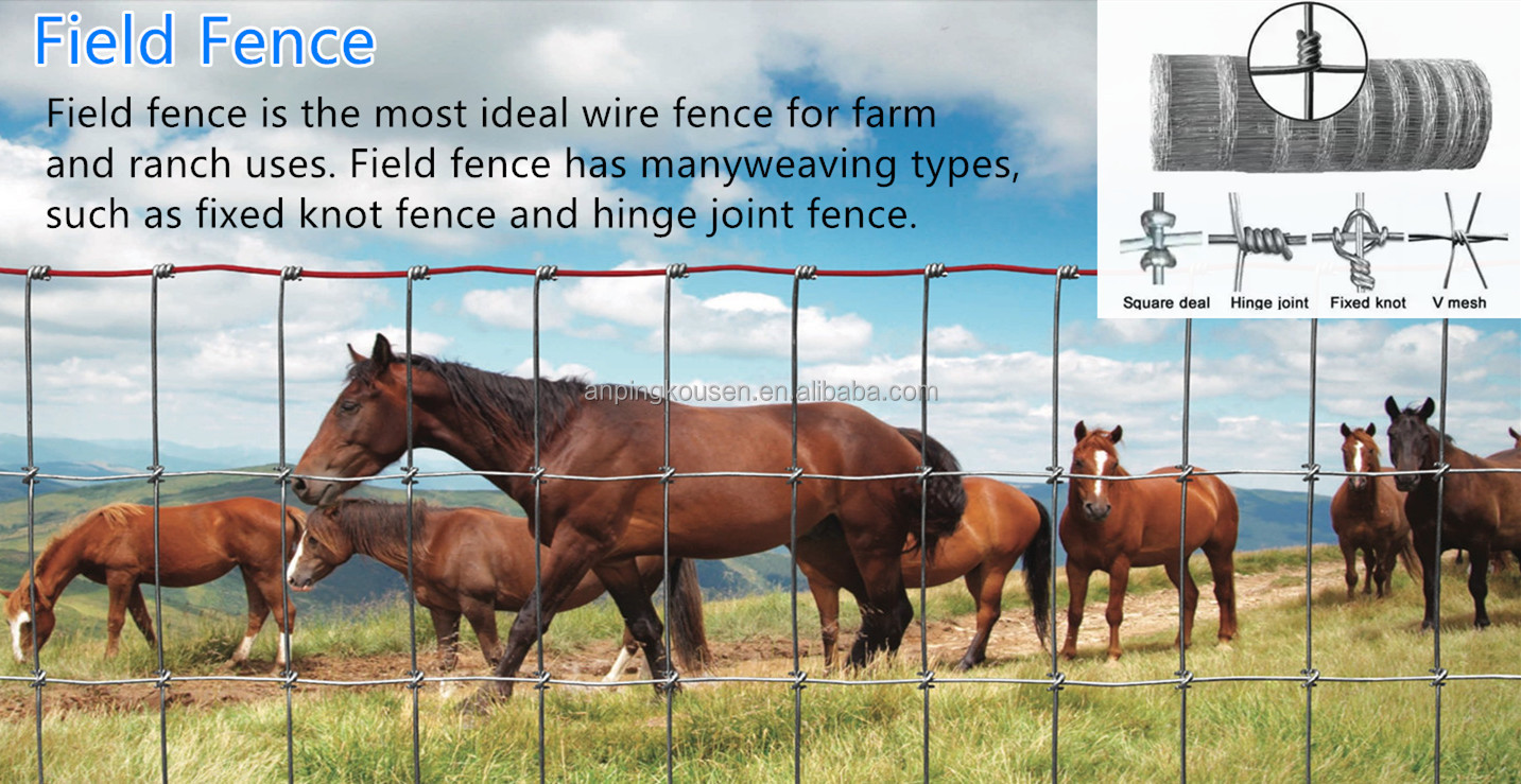 Metal Type Iron Veld Span Fence and Field Fence Wire Hot Dipped Galvanized for Sqaure
