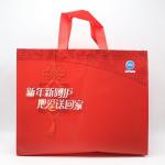 Sophisticated technology Eco Non woven Reusable Shopping Bags