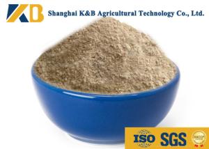 Wholesale Natural Plant Based Protein Powder / Rice Protein Nutrition No Agglomeration from china suppliers