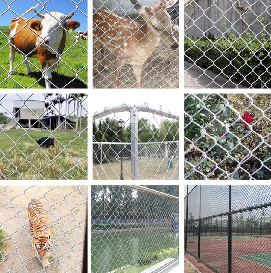 50x50 60x60 Galvanised Chain Link Fencing Easily Assembled Sustainable Construction