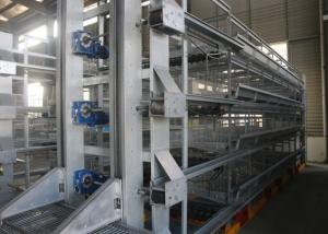 Wholesale High Tech Poultry Cage System / Cage Holding Poultry Easy Daily Management from china suppliers