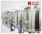 500L Bright Beer Serving Tank Stainless Steel Sanitary Industrial Beer Brewing