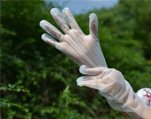 Wholesale 1.3g Plastic 100pcs Disposable Cleaning Gloves Food Grade from china suppliers