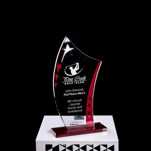Wholesale Encourage Souvenir Plastic Crystal Trophy Cup With Laser Engraving from china suppliers