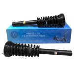 OEM Standard Spring Struts Assembly For Mercedes Benz W221 Front Gas Shock