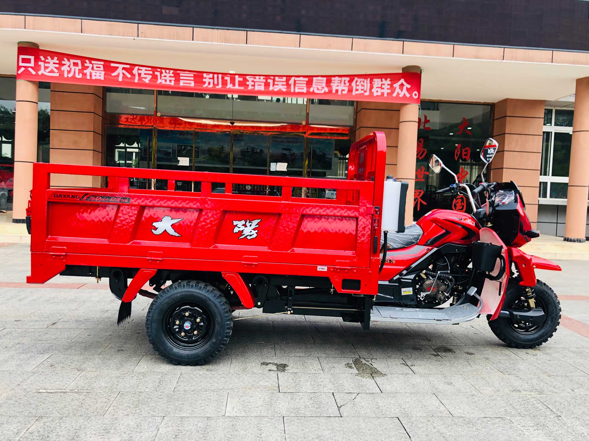 800W DAYANG DY-R1 RUITENG 250cc Cargo Tricycle for Heavy Duty CCC Three Wheels Motorcycle