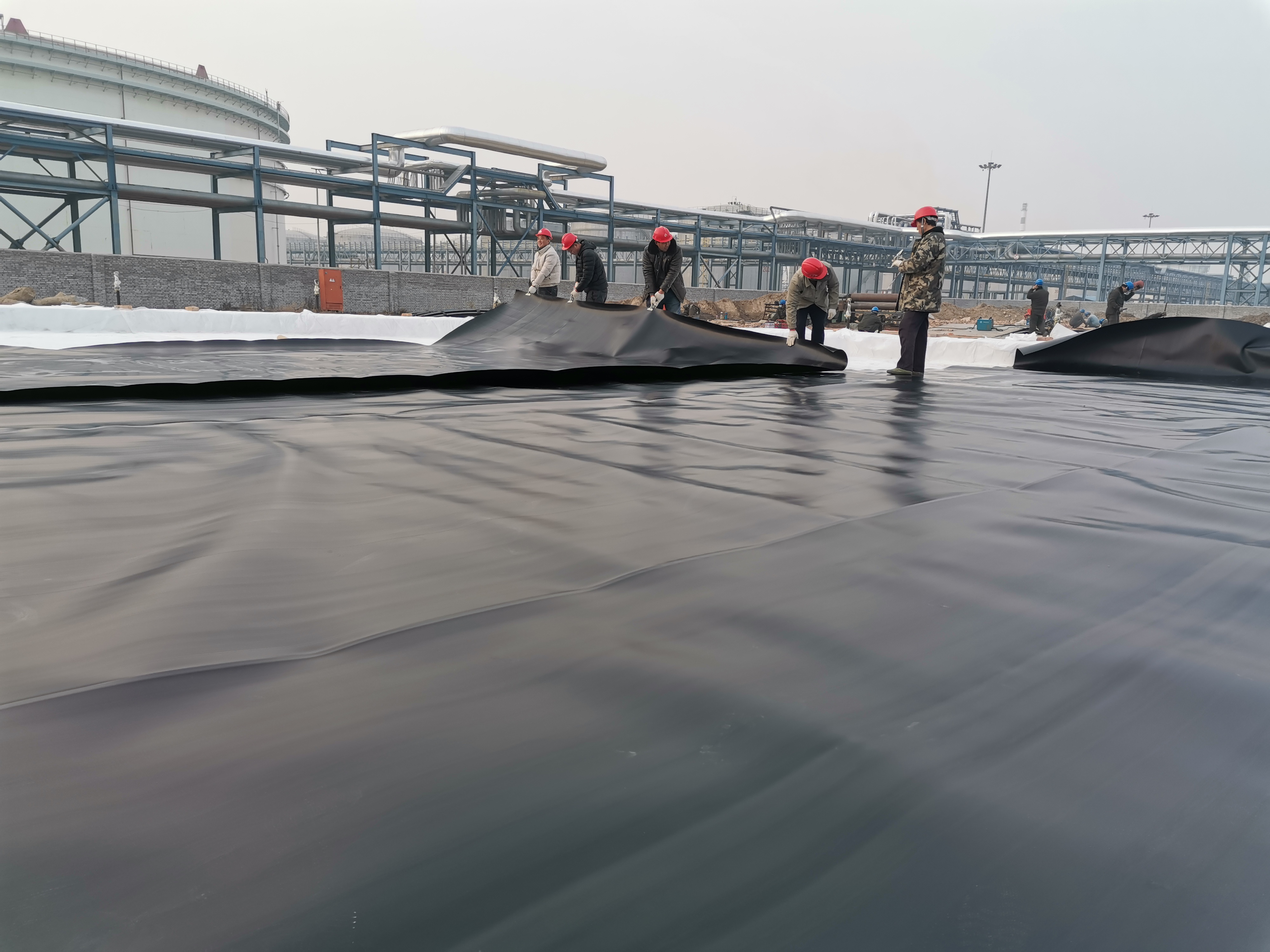 Eco-Friendly Geomembrane for Fish Pond 0.5mm Thickness from Length 50-200m / Roll