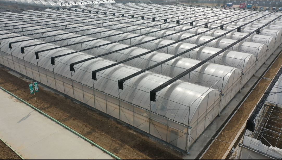 Single Layer 200 Micro UV Plastic Film Greenhouse for Vegetable Strong and Resilient