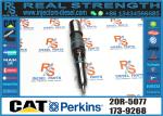 Fuel Injector 460-8213 173-9379 138-8756 155-1819 232-1183 169-7408 222-5967 232