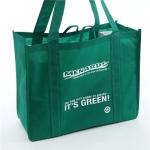Simple Green Folded Non Woven Carry Bags Custom Logo Advertising Packaging