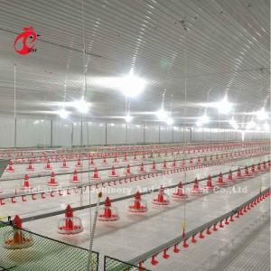 Wholesale Stainless Steel Floor Type Poultry Farm Equipment Automatic Feeding And Drinking System Adela from china suppliers