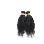 Deep Curly Brazilian Human Hair Bundles Natural Black Color Free Sample No