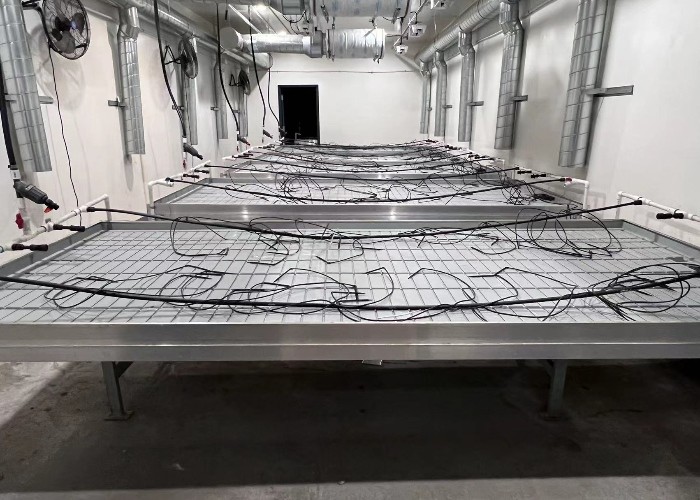 Agriculture Ebb And Flow tables Hydroponic seedling Grow Rolling Bench seedbed with abs tray