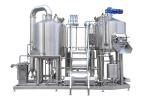 Teach You Brew Beer Free of Charge/Give You Beer Brewing Skills/Small Beer