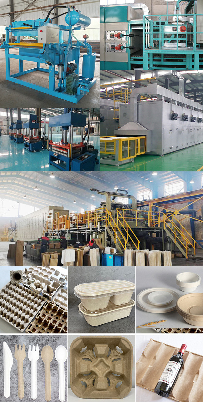 Biodegradable Sugarcane Bagasse Tableware Pulp Molding Machine for Eco-Friendly Design