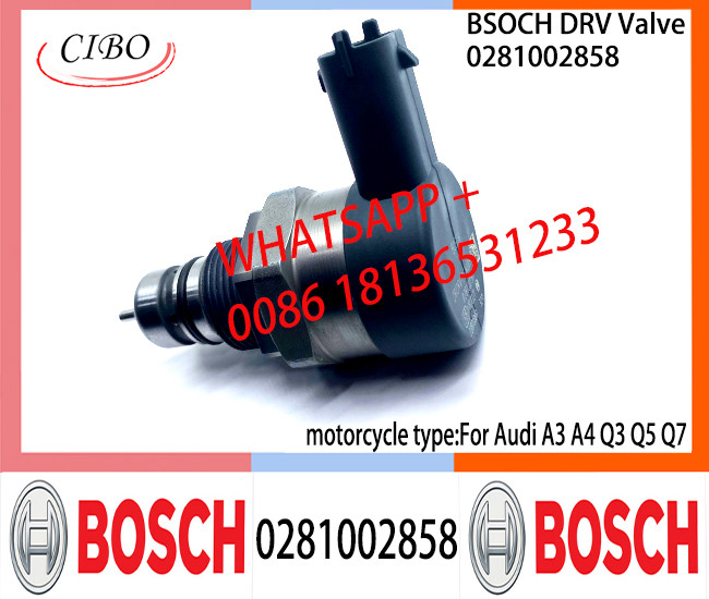 BOSCH DRV Valve 0281002858 Control Valve 0281002858 for Audi A3 A4 Q3 Q5 Q7