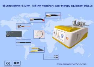 Wholesale 650nm 810nm 980nm 1064nm Diode Laser Hair Removal Portable For Animal Use from china suppliers