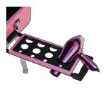 Pink Pro Rolling Studio Cosmetic Makeup Case with Light