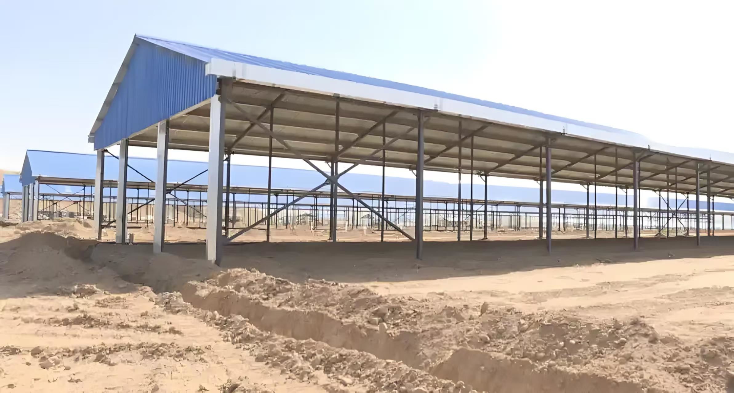 Livestock Shelter Dairy Farm Barn Custom Steel Structure Cow Shed For Live Cattle